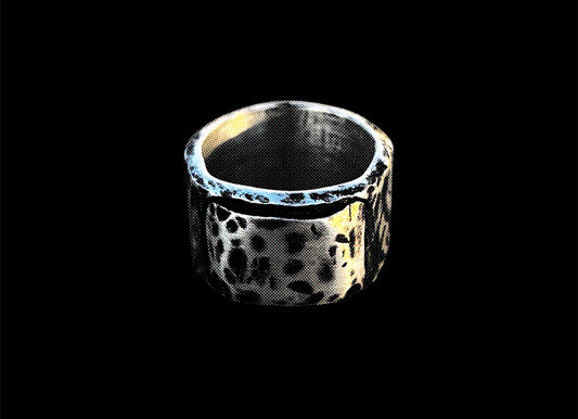 SHIELD (einzigartig)